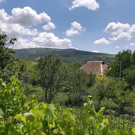 Guest House Luka Manglisi Kültér fotó
