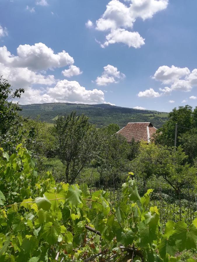 Guest House Luka Manglisi Kültér fotó